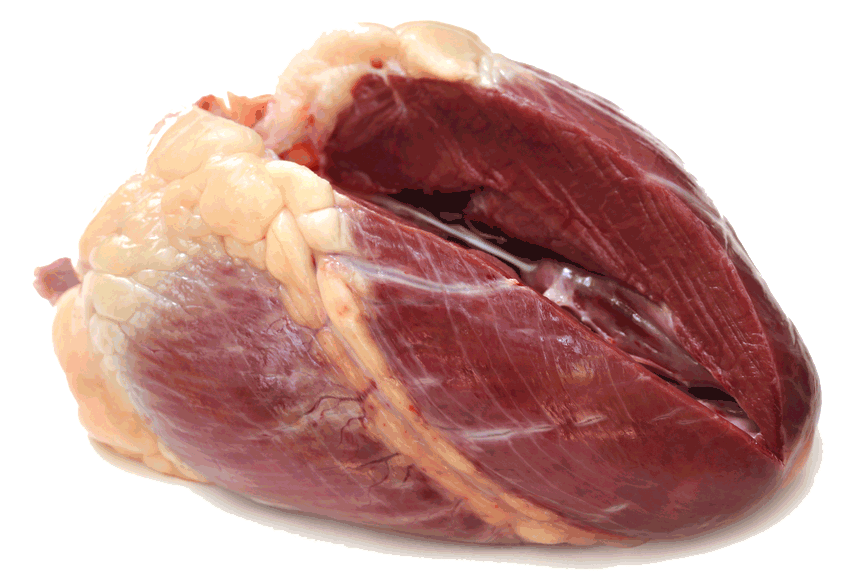BEEF HEART