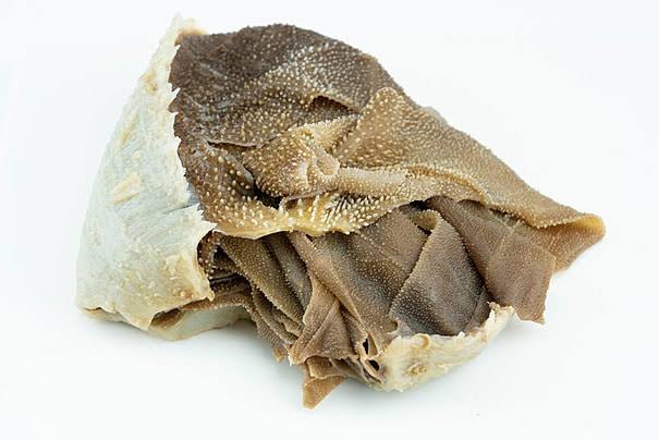 BOOK TRIPE (GAKUO KAINGI)