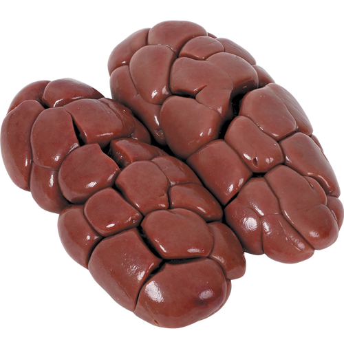 BEEF KIDNEY