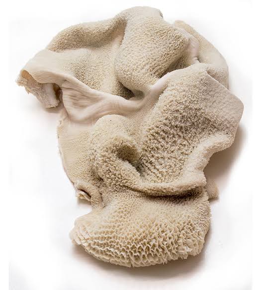 GOAT TRIPE (MATUMBO) MIXED